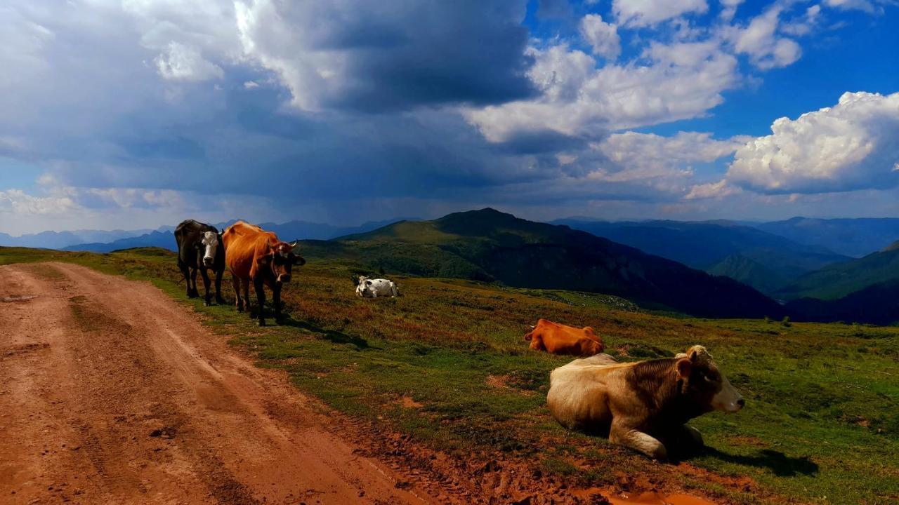 Etno Village Coric Mojkovac Εξωτερικό φωτογραφία