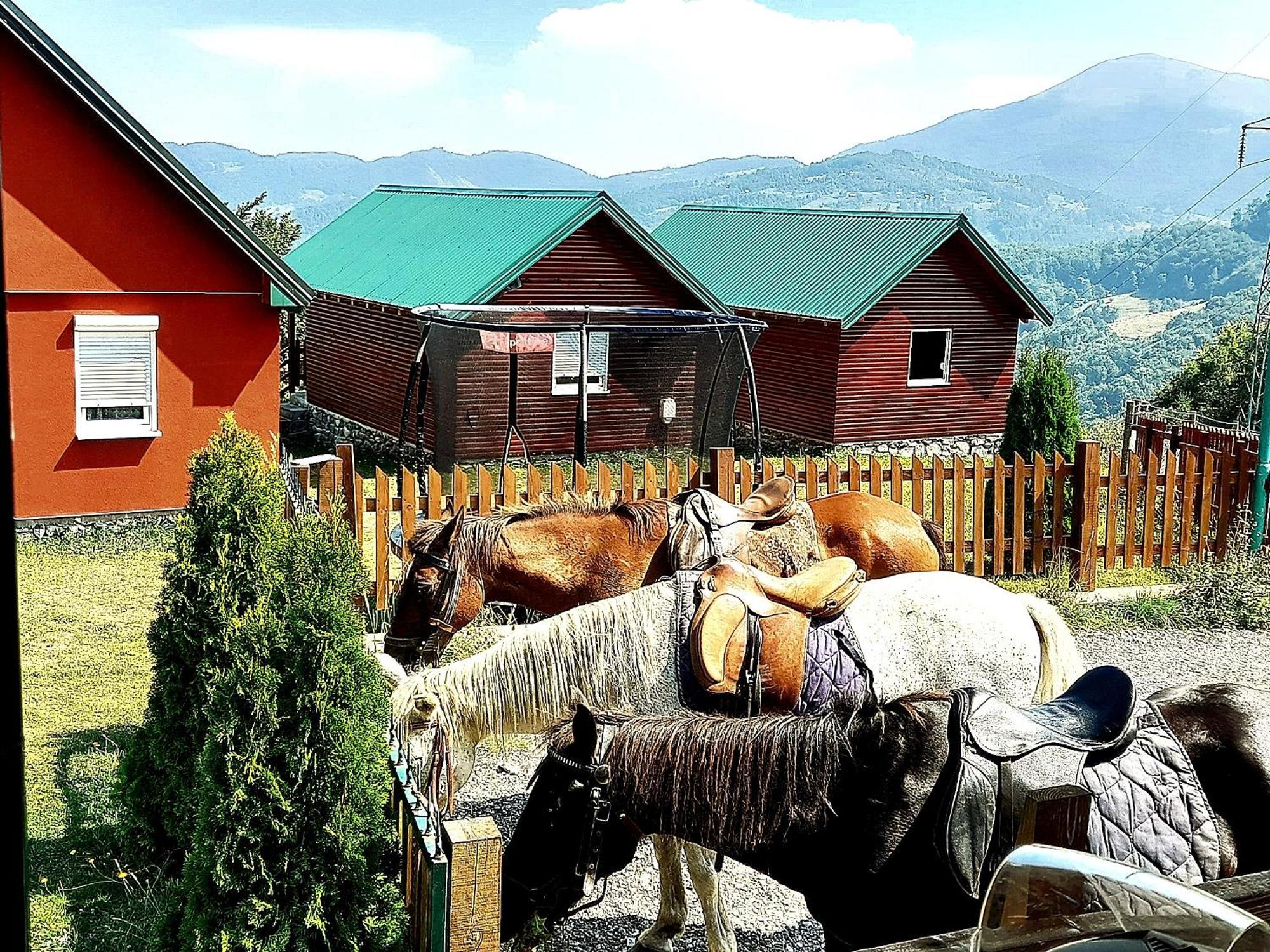 Etno Village Coric Mojkovac Εξωτερικό φωτογραφία