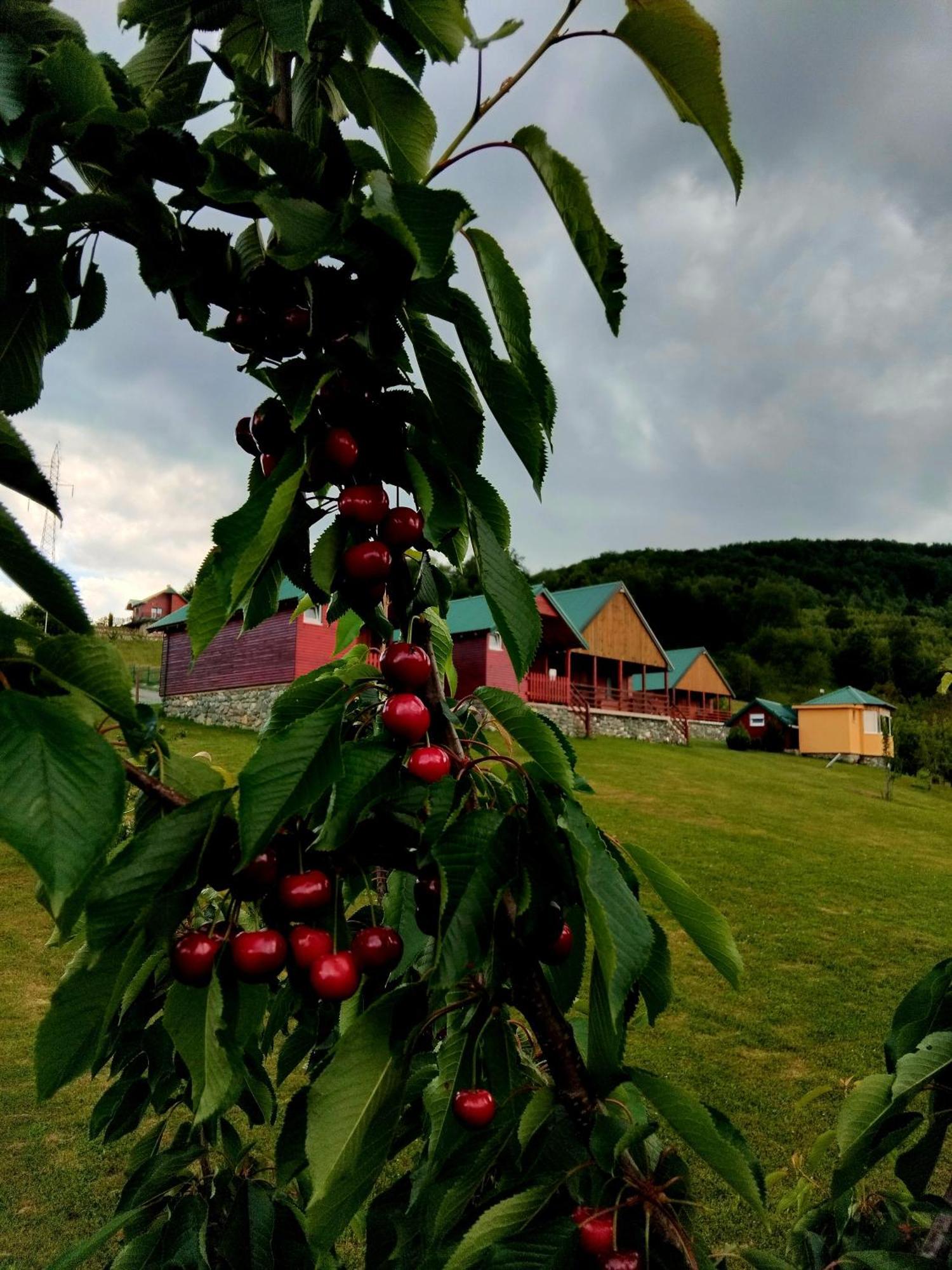 Etno Village Coric Mojkovac Εξωτερικό φωτογραφία