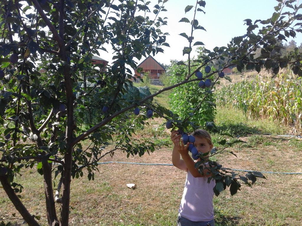 Etno Village Coric Mojkovac Εξωτερικό φωτογραφία